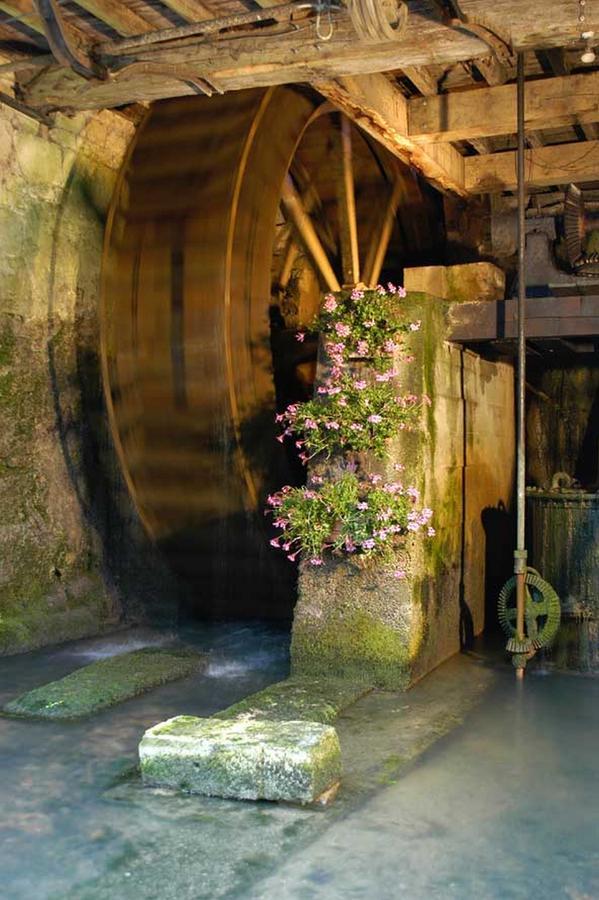 Moulin De La Fleuristerie Bed and Breakfast Orges Buitenkant foto